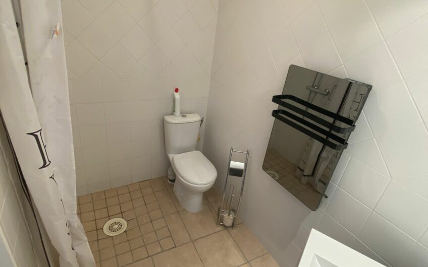 BEAU T1 MEUBLÉ DE 34.53 M² EN CENTRE VILLE