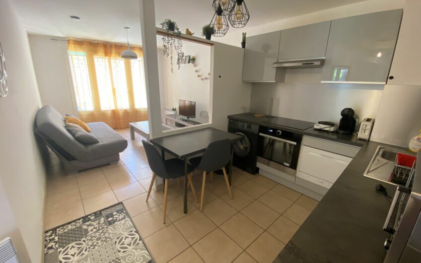 BEAU T1 MEUBLÉ DE 34.53 M² EN CENTRE VILLE