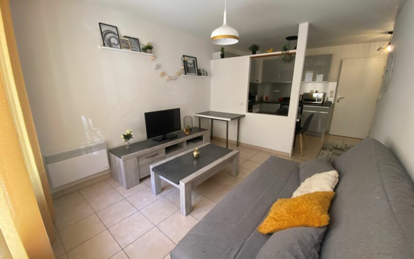 BEAU T1 MEUBLÉ DE 34.53 M² EN CENTRE VILLE