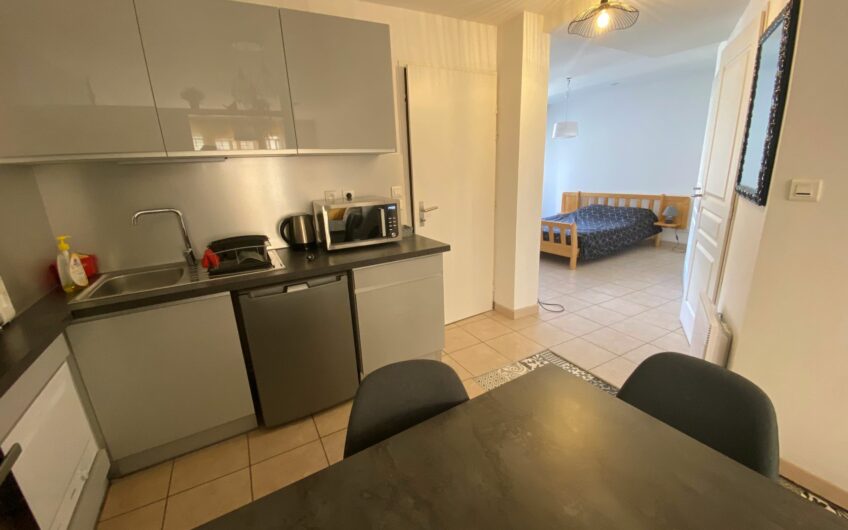 BEAU T1 MEUBLÉ DE 34.53 M² EN CENTRE VILLE