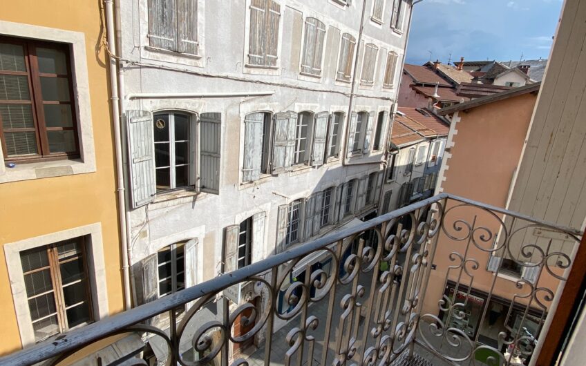 APPARTEMENT T1 MEUBLE DE 24.21 M² CENTRE VILLE