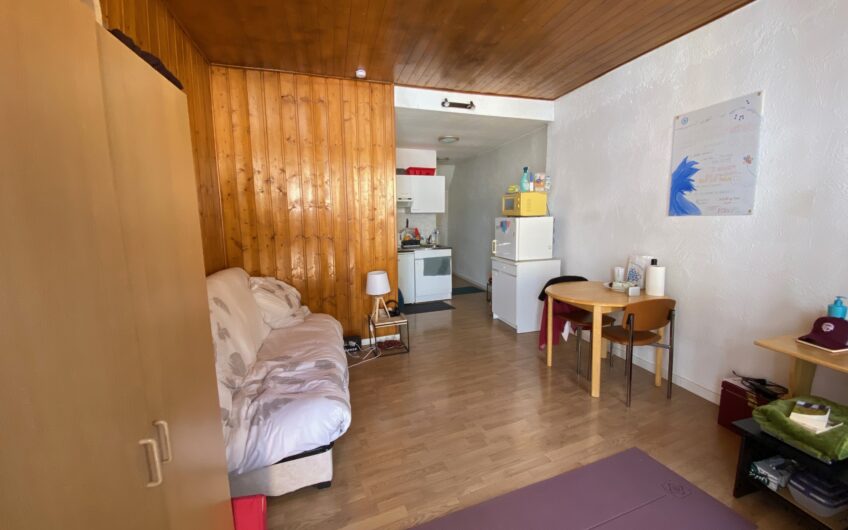 APPARTEMENT T1 MEUBLE DE 24.21 M² CENTRE VILLE