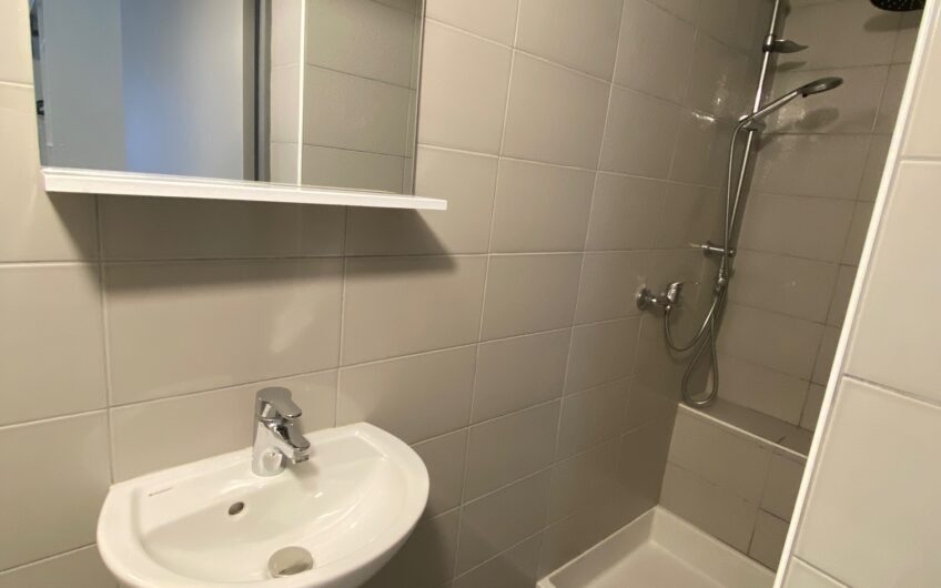 Appartement de type studio, meublé de 16.88m²
