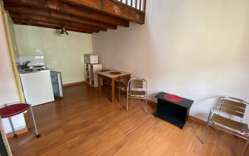 Appartement T2 en duplex de 26.96 m² meublé