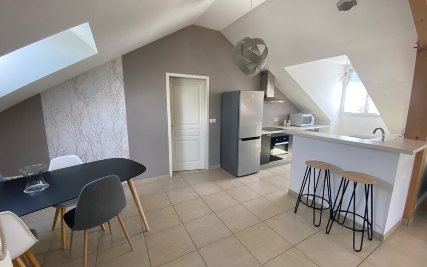 BEL APPARTEMENT T2 MEUBLE DE 64,43 M² AVEC TERRASSE ET GARAGE