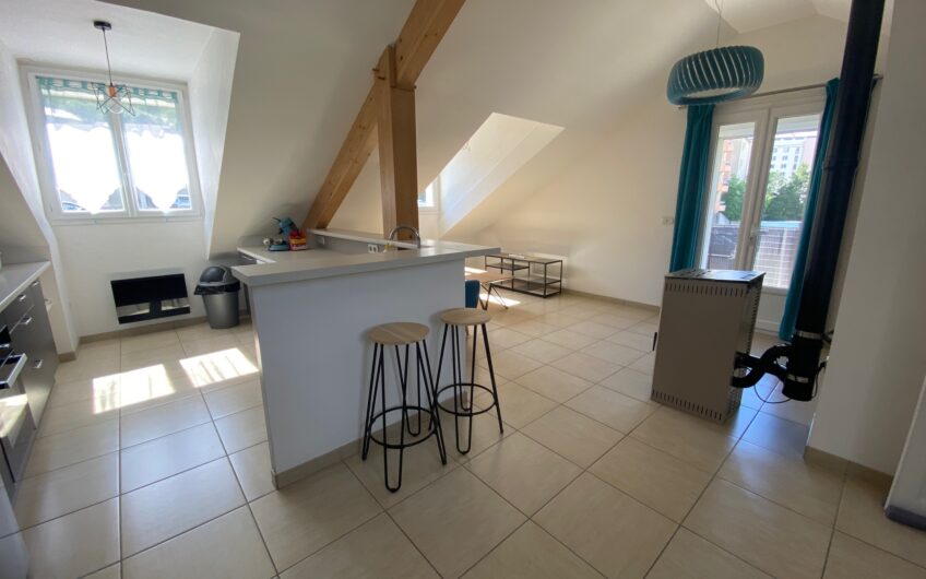BEL APPARTEMENT T2 MEUBLE DE 64,43 M² AVEC TERRASSE ET GARAGE