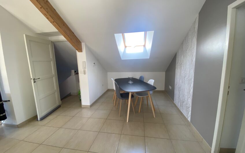 BEL APPARTEMENT T2 MEUBLE DE 64,43 M² AVEC TERRASSE ET GARAGE