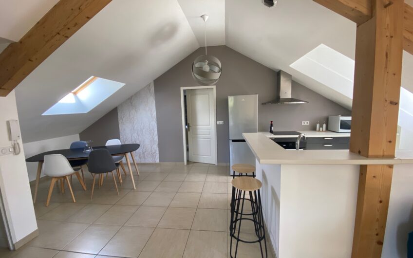 BEL APPARTEMENT T2 MEUBLE DE 64,43 M² AVEC TERRASSE ET GARAGE