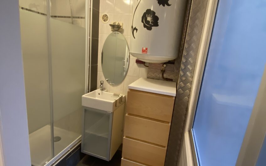 T1 BIS DE 22.35 m² EN CENTRE VILLE DE GAP