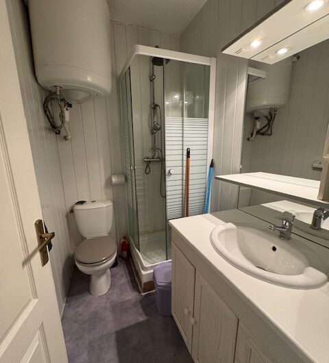 APPARTEMENT SEMI MEUBLE DE 24.71 M² EN CENTRE-VILLE