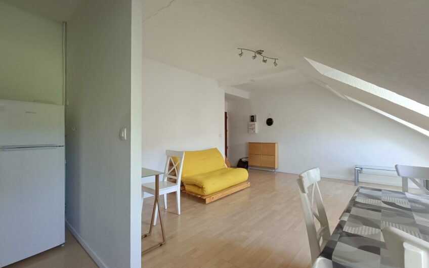 APPARTEMENT T2 EN DUPLEX DE 77.25 M² AU SOL ET 37.65 M² LOI CARREZ