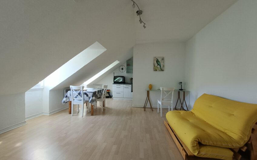 APPARTEMENT T2 EN DUPLEX DE 77.25 M² AU SOL ET 37.65 M² LOI CARREZ