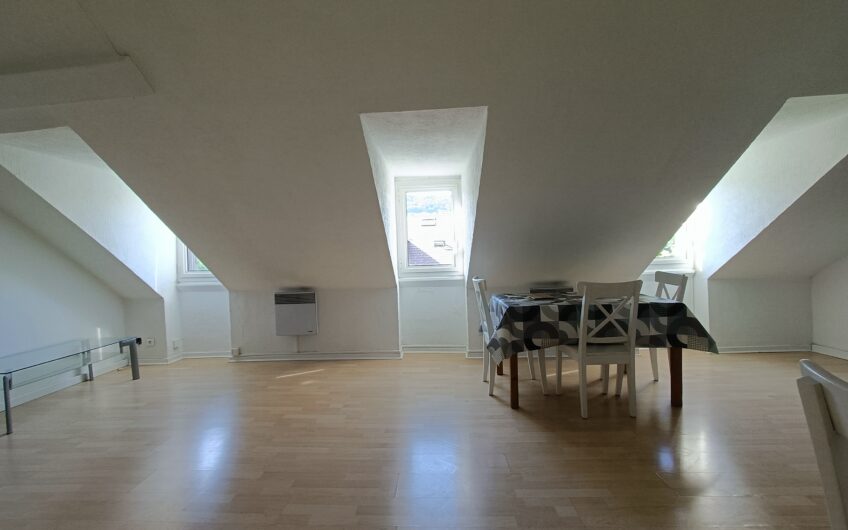 APPARTEMENT T2 EN DUPLEX DE 77.25 M² AU SOL ET 37.65 M² LOI CARREZ