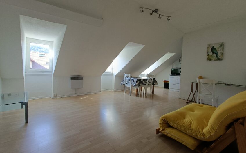 APPARTEMENT T2 EN DUPLEX DE 77.25 M² AU SOL ET 37.65 M² LOI CARREZ