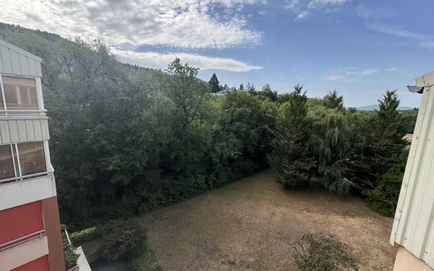 BEL APPARTEMENT MEUBLÉ T2 BIS DE 59.39 M² AVEC TERRASSE, CAVE, GARAGE ET PARKING