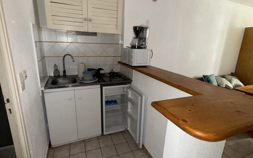 STUDIO MEUBLÉ DE 21.64 M² CENTRE VILLE DE GAP