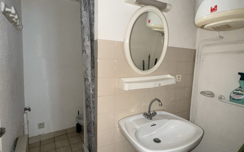 APPARTEMENT T1 DE 26.16 M² MEUBLÉ EN CENTRE-VILLE PIÉTON