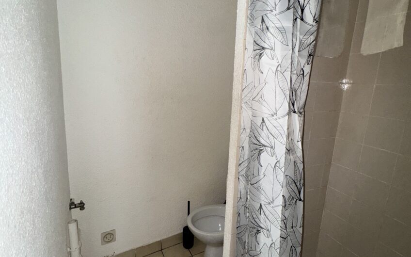 APPARTEMENT T1 DE 26.16 M² MEUBLÉ EN CENTRE-VILLE PIÉTON