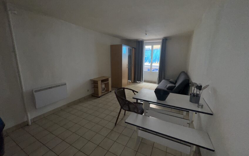 APPARTEMENT T1 DE 26.16 M² MEUBLÉ EN CENTRE-VILLE PIÉTON