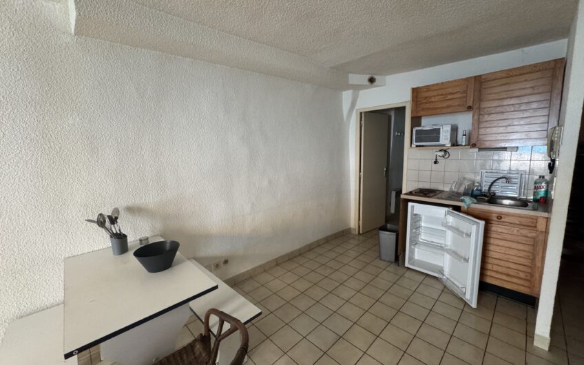 APPARTEMENT T1 DE 26.16 M² MEUBLÉ EN CENTRE-VILLE PIÉTON