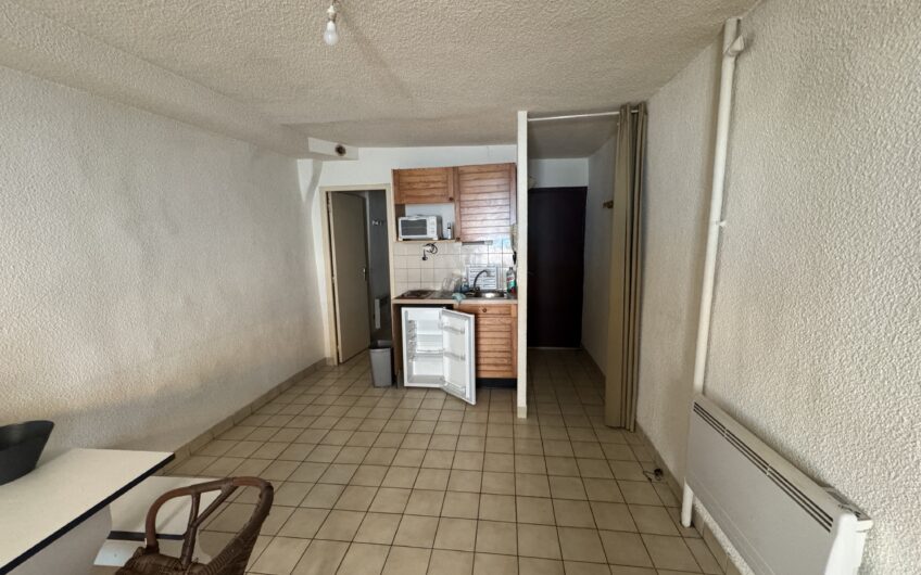 APPARTEMENT T1 DE 26.16 M² MEUBLÉ EN CENTRE-VILLE PIÉTON