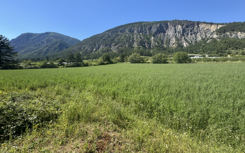 13 TERRAINS A BATIR VIABILISES DE 520 A 740 M², VUE DEGAGEE ET LIBRE CONSTRUCTEUR